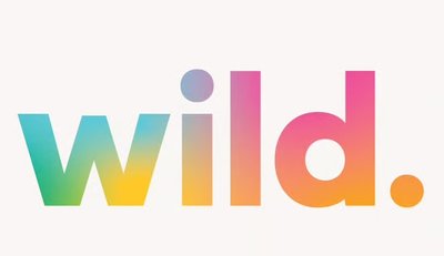 Meet Wild, a startup revolutionizing towing with an all-electric travel trailer
