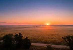 A new opportunity for corporate venturing: The first horizon