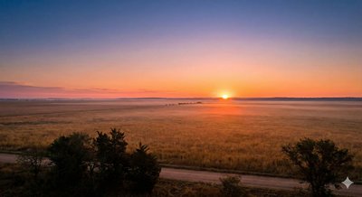 A new opportunity for corporate venturing: The first horizon